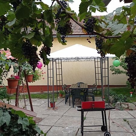 Borina Vendeghaz Villa Sátoraljaújhely Exterior foto