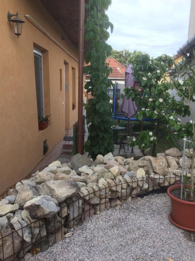 Borina Vendeghaz Villa Sátoraljaújhely Exterior foto