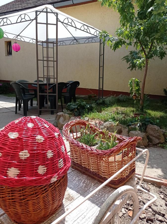 Borina Vendeghaz Villa Sátoraljaújhely Exterior foto