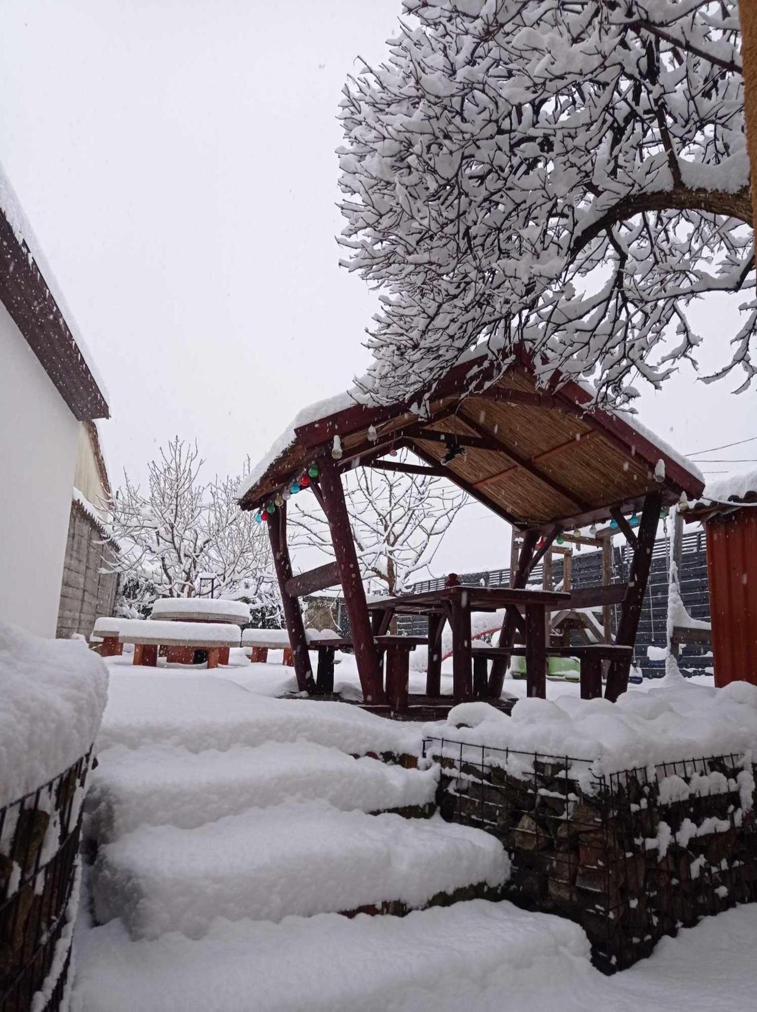 Borina Vendeghaz Villa Sátoraljaújhely Exterior foto